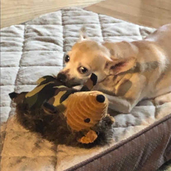 Meet your Posher, Lisa - Picture 3 of 7